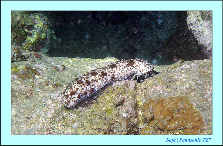 2011 - 07 - Koh Lipe 49